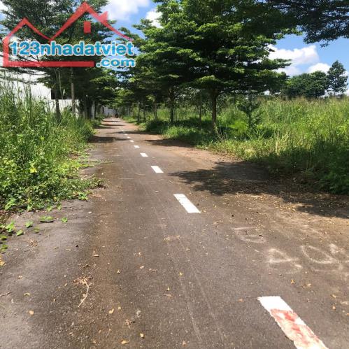 Bán đất Trảng Bom, Đồng Nai, 1,05 tỷ 118m2 - 4