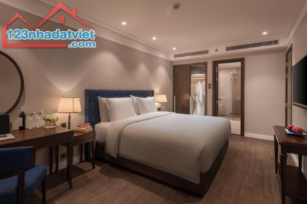 Đầu tư & an cư cùng căn hộ ven biển Mỹ Khê. Giá trị xứng tầm, sinh lời bền vững - 3
