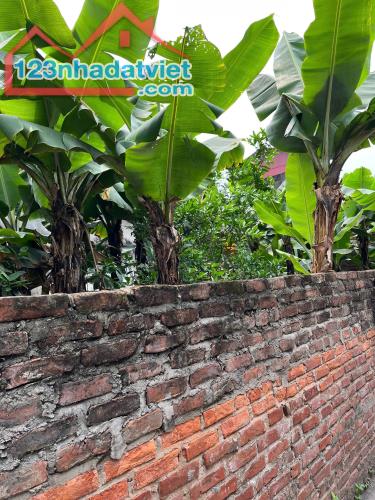 BÁN 150m Đất Hạ Trại ( Thống Nhất ) Long Biên   MT 9m , oto ,KD,giá 12,5 ty . - 1