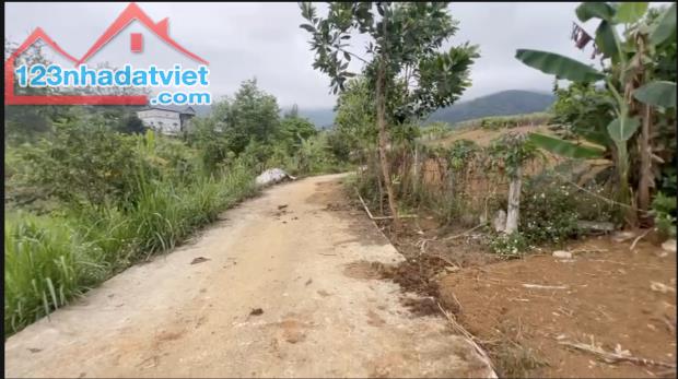 Bán 1000M_có 950M thổ cư bám đường bê tông 20M_gần trung tâm Cao Phong Hoà Bình_1,x tỷ - 3