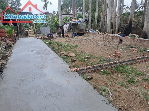 Bán đất tại ngõ 66 Kiều Hạ, Hải An, Hải Phòng, 42m2, 1.390 tỷ VND. - 1