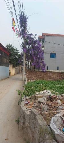 🔴BÁN LÔ ĐẤT GIÁ TỐT TẠI VĂN QUÁN – ĐỖ ĐỘNG – THANH OAI – HÀ NỘI 40,4M² – ĐƯỜNG Ô TÔ