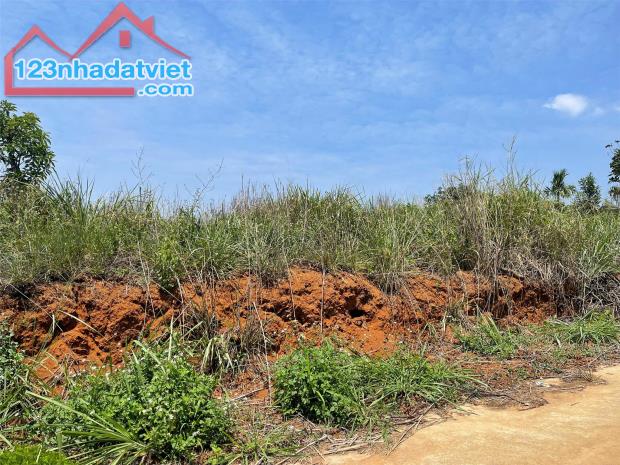 BÁN ĐẤT GIÁ RẺ CÁCH ĐÀ LẠT 58KM - 3