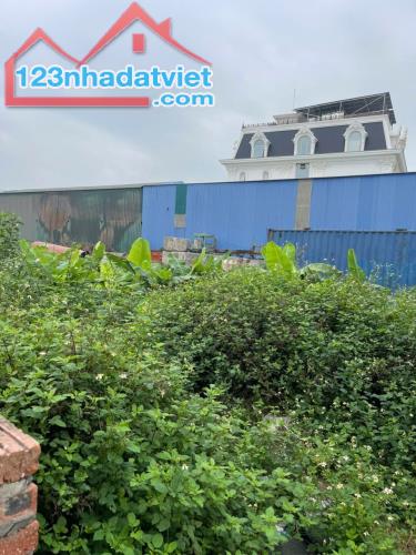 Đất đẹp khu đô thị phiá Tây Cầu Phú Lương, Phường Nhị Châu, TP Hải Dương cần bán nhanh. - 1