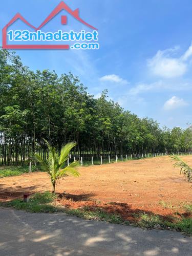 ĐẤT NỀN TÂN ĐỊNH NGAY TRUNG TÂM THÀNH PHỐ SỔ SẴN CHÍNH CHỦ - 2
