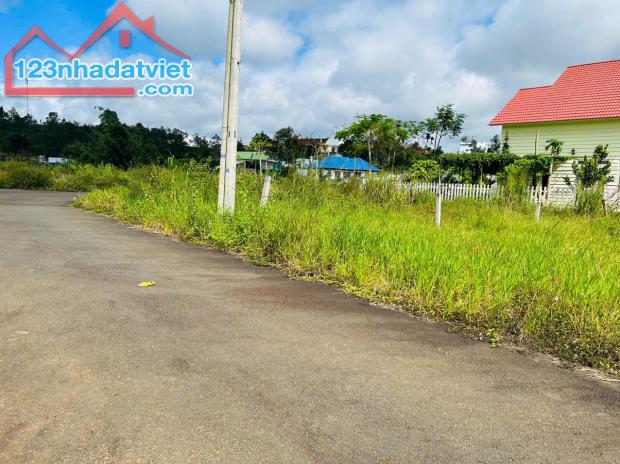 BÁN GẤP LÔ ĐẤT ĐẸP 285m2 – HẺM TRIỆU QUANG PHỤC, B’LAO – BẢO LỘC