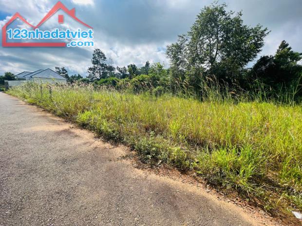 BÁN GẤP LÔ ĐẤT ĐẸP 285m2 – HẺM TRIỆU QUANG PHỤC, B’LAO – BẢO LỘC - 1