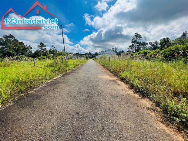 BÁN GẤP LÔ ĐẤT ĐẸP 285m2 – HẺM TRIỆU QUANG PHỤC, B’LAO – BẢO LỘC - 2