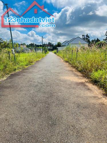 BÁN GẤP LÔ ĐẤT ĐẸP 285m2 – HẺM TRIỆU QUANG PHỤC, B’LAO – BẢO LỘC - 3
