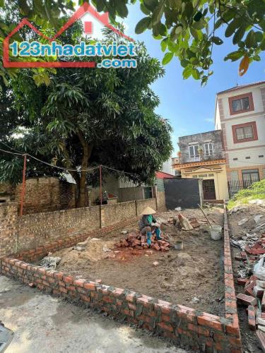 ❌❌ Bán 69m2 lô đất 2 mặt ngõ trước sau tại Tiên Kha, Tiên Dương, Đông Anh. Lh 0981568317 - 2