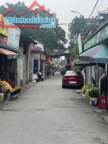 Bán mảnh đất 54m2 tại Cổ Dương,Tiên Dương,Đông Anh,Hà Nội - 1