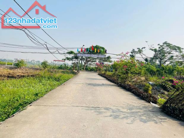 Bán lô đất Quỳnh Cư, Hùng Vương, Hồng Bàng 45m giá hơn 900tr LH 0979087664