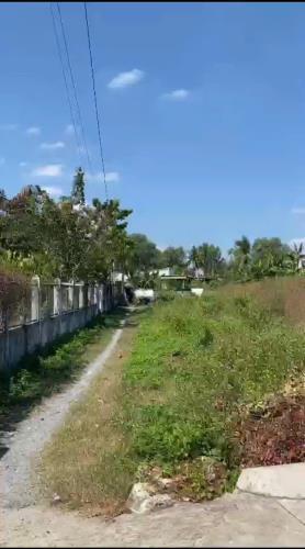 Bán nhanh 2100m2 full thổ cư hẻm xe hơi đường Long Thuận Long Phước giá đầu tư 38 triệu/m2 - 3