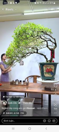 SIÊU HIẾM MẶT HỒ TÂY GIÁ 32 TỶ - 4