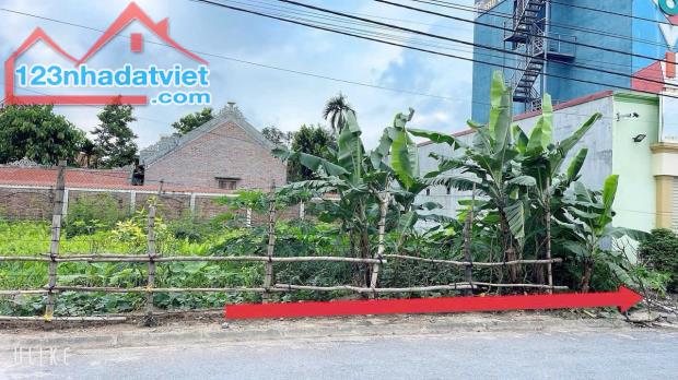 Bán đất Chung cư Tắc Giang - Kiến Thụy - Hải Phòng - 1