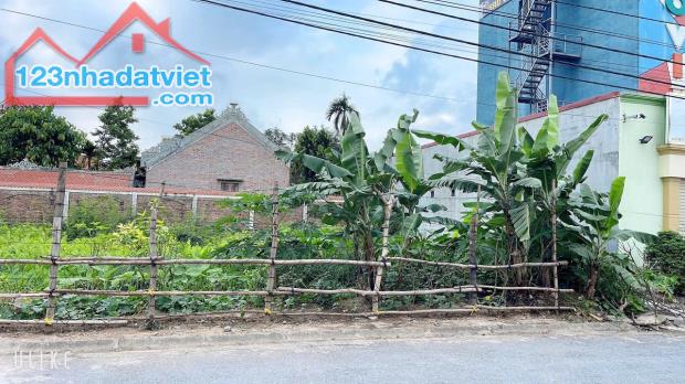 Bán đất Chung cư Tắc Giang - Kiến Thụy - Hải Phòng - 4