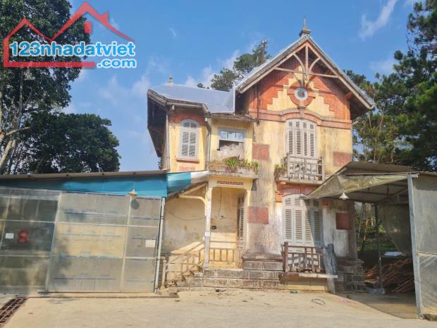 SIÊU PHẨM BIỆT THỰ PHÁP CỔ  VỊ TRÍ TRUNG TÂM  SINH LỜI ĐỈNH CAO - 1