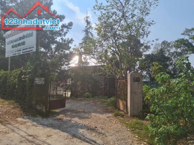 SIÊU PHẨM BIỆT THỰ PHÁP CỔ  VỊ TRÍ TRUNG TÂM  SINH LỜI ĐỈNH CAO - 3