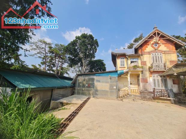SIÊU PHẨM BIỆT THỰ PHÁP CỔ  VỊ TRÍ TRUNG TÂM  SINH LỜI ĐỈNH CAO - 4
