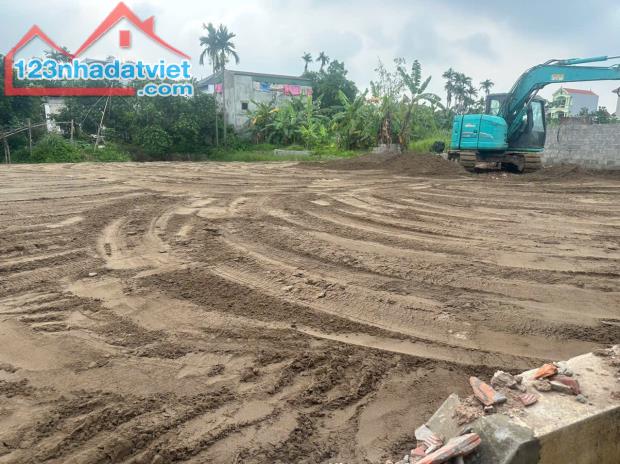 Bán đất Chương Dương – Thường Tín – Hà Nội, ô tô vào đất, giá chỉ 28 triệu/m² - 1