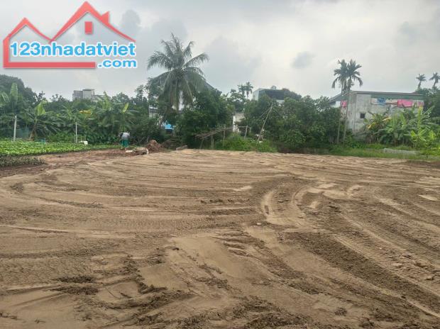 Bán đất Chương Dương – Thường Tín – Hà Nội, ô tô vào đất, giá chỉ 28 triệu/m² - 2