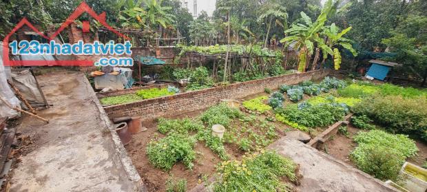 Tài chính nhỏ 2,3 tỷ. Thôn Đoài, Việt Hùng, cách thị trấn 1km. 44m2. - 1
