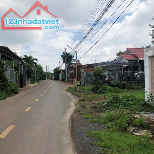 Bán đất 107m2 thị trấn Vĩnh An - 2