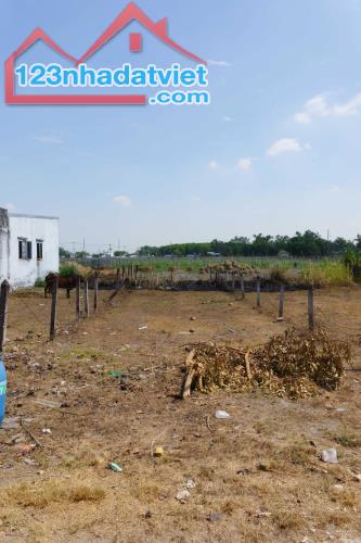 CHÍNH CHỦ BÁN 173M2 ĐẤT MẶT TIỀN SẴN SỔ TẠI HÒA PHÚ-CỦ CHI - 3