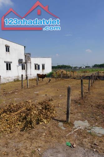 CHÍNH CHỦ BÁN 173M2 ĐẤT MẶT TIỀN SẴN SỔ TẠI HÒA PHÚ-CỦ CHI - 4