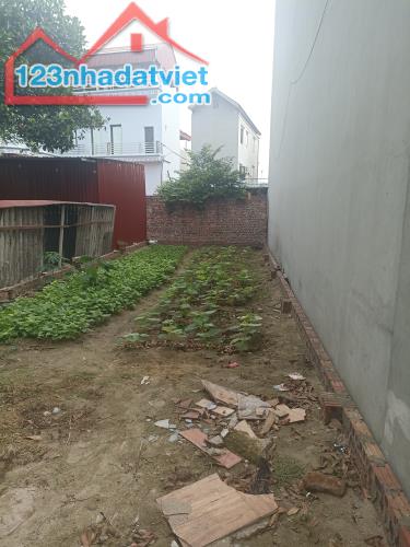 Rẻ Nhất Khu Vực Hậu Dưỡng Kim Chung Đông Anh 56m Giá Hơn 2 Tỷ - 3