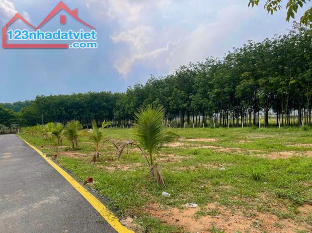 ĐẤT TÂN ĐỊNH NGAY TRUNG TÂM TDM CƠ HỘI ĐẦU TƯ CHỈ VỚI 680TR - 1