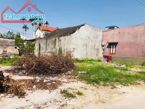 Bán đất Hiến Thành ,Kinh Môn ,HẢi Dương - 2