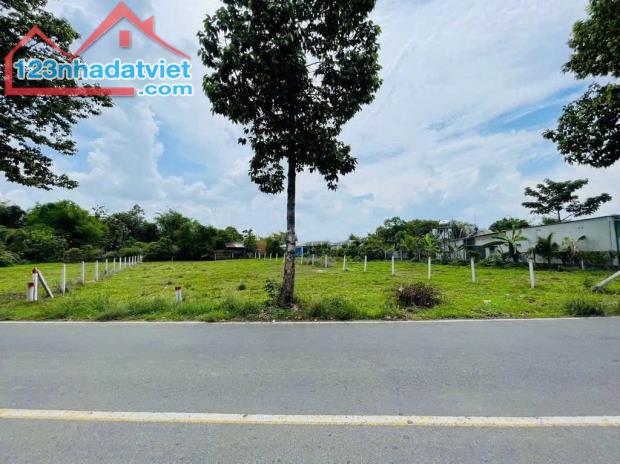HÀNG HIẾM GIÁ TỐT - BÁN NGAY LÔ ĐẤT MT ĐƯỜNG 177M2 PHƯỚC THẠNH, SHR 620TR - 1