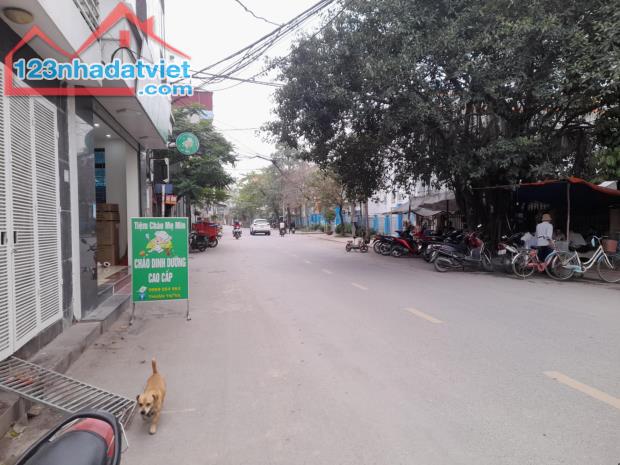 ĐẤT ĐỒNG MAI MẶT ĐƯỜNG ĐỒNG DƯƠNG KINH DOANH - 2