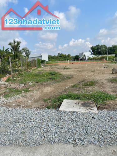 BÁN ĐẤT GIÁ RẺ SHR 125M2 giá 1tỷ050 triệu ,ĐƯỜNG NHỰA 6M ,ĐỨC HÒA LONG AN - 1