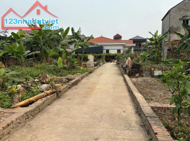 bán đất chính chủ đẹp tại Bắc hồng Đông Anh Hà Nội - 2