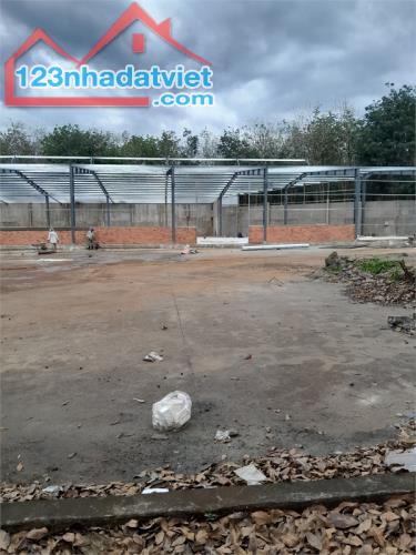 cho thuê nhà xưởng sản xuất phù hợp đầu tư, phục vụ nhiều ngành nghề công nghiệp - 3