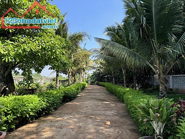Chính chủ cần bán khu nhà vườn nghỉ dưỡng cực đẹp rộng 2200m2 - 2
