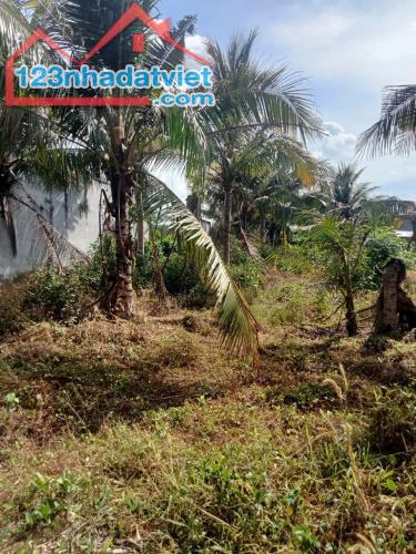 🏡 CẦN BÁN LÔ ĐẤT BIỆT THỰ 420m² TẠI XÃ TAM AN – LONG ĐẤT – BÀ RỊA VŨNG TÀU GIÁ CHỈ 1.65