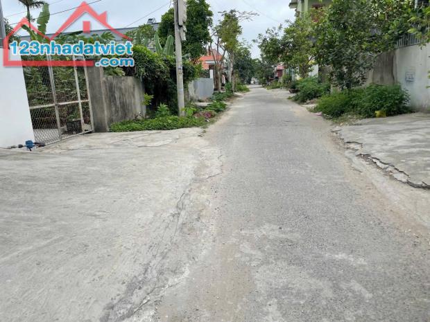 Bán đất Đại Đồng - Kiến Thụy - Hải Phòng - 2