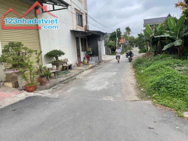 Bán đất Đại Đồng - Kiến Thụy - Hải Phòng - 4