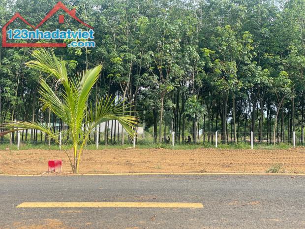 Bán đất HOT tại Tân Định, Bến Cát - Giá sốc 680 triệu - 2
