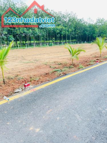 Bán đất HOT tại Tân Định, Bến Cát - Giá sốc 680 triệu - 3