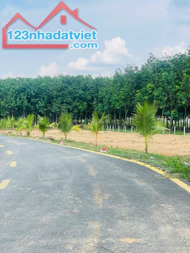 Bán đất HOT tại Tân Định, Bến Cát - Giá sốc 680 triệu - 4