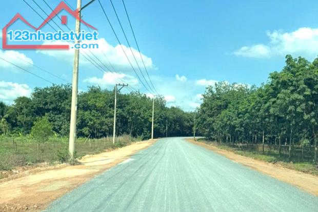 BÁN RẺ (10x56=560m2) ĐẤT THỔ CƯ MẶT TIỀN QL14C VÀO 200M 470 Triệu - 1