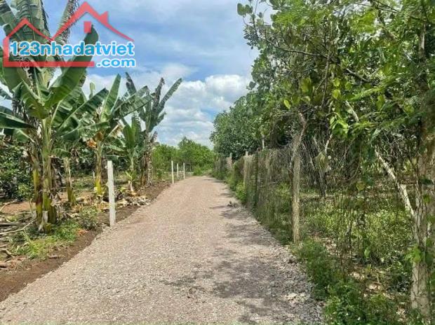 Lô Đất Củ Chi đắc địa cần đổi chủ, 80 m2, giá 1,8 tỷ - 1