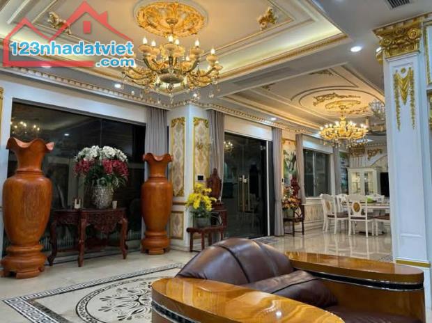 Bán Căn Biệt Thự Song Lập Đẳng Cấp 318m, 3 tầng, mt 11m, giá 98.6 tỷ. - 1