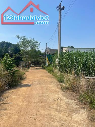 Bán đất Trảng Bom cạnh Kcn Bàu Xéo 800 tr - 2