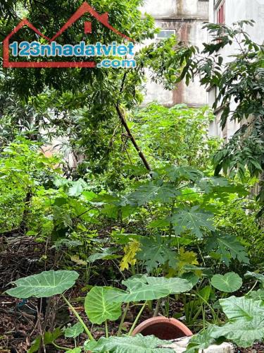 Đất đẹp TT Gia Lâm, Đẹp thửa, đẹp cả ngõ, Ô Tô tránh, Giá 45Tr/M2, Gần Vinhome
