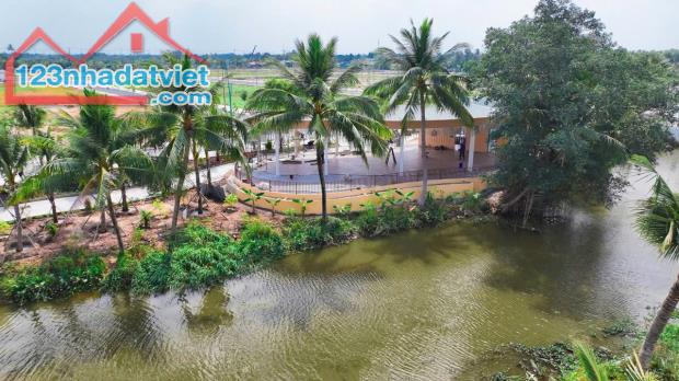 AGORA THỦ THỪA - LONG AN PHÁT TRIỂN TIỀM NĂNG MẠNH MẼ - 4